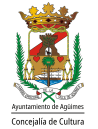 ayuntamiento fondo blanco