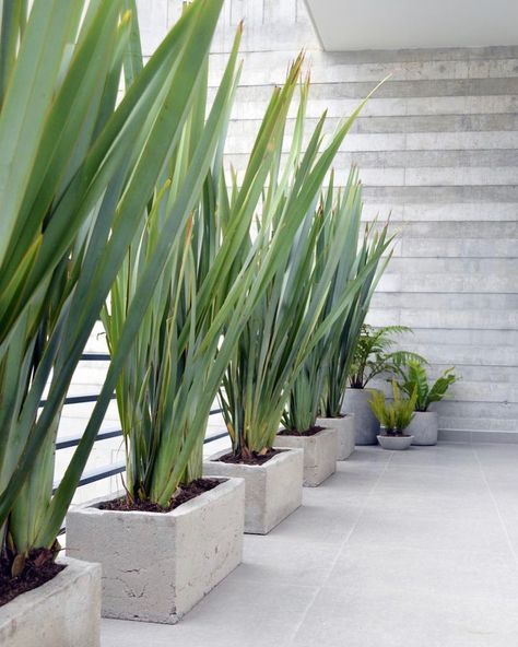 532d8624db15a33f21d019cea3e1aa1b